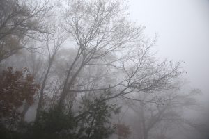 Appalachian Trail, Pennsylvania
