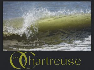 Cape May, Cape May, NJ, shore, beach, Wildwood, Wildwood, NJ, ocean, surf, Wildwood Crest,Stone Harbor, Avalon