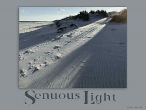 Cape May, Cape May, NJ, shore, beach, Wildwood, Wildwood, NJ, ocean, surf, Wildwood Crest, Stone Harbor, Avalon