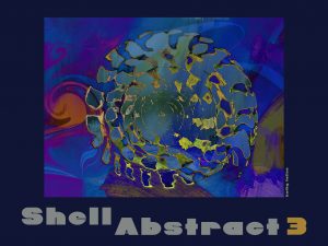 Cape May, Cape May, NJ, shore, beach, Wildwood, Wildwood, NJ, ocean, surf, Wildwood Crest, shells, abstracts, sea shells