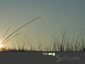 Cape May, Cape May, NJ, shore, beach, Wildwood, Wildwood, NJ, ocean, surf, Wildwood Crest,Stone Harbor, Avalon